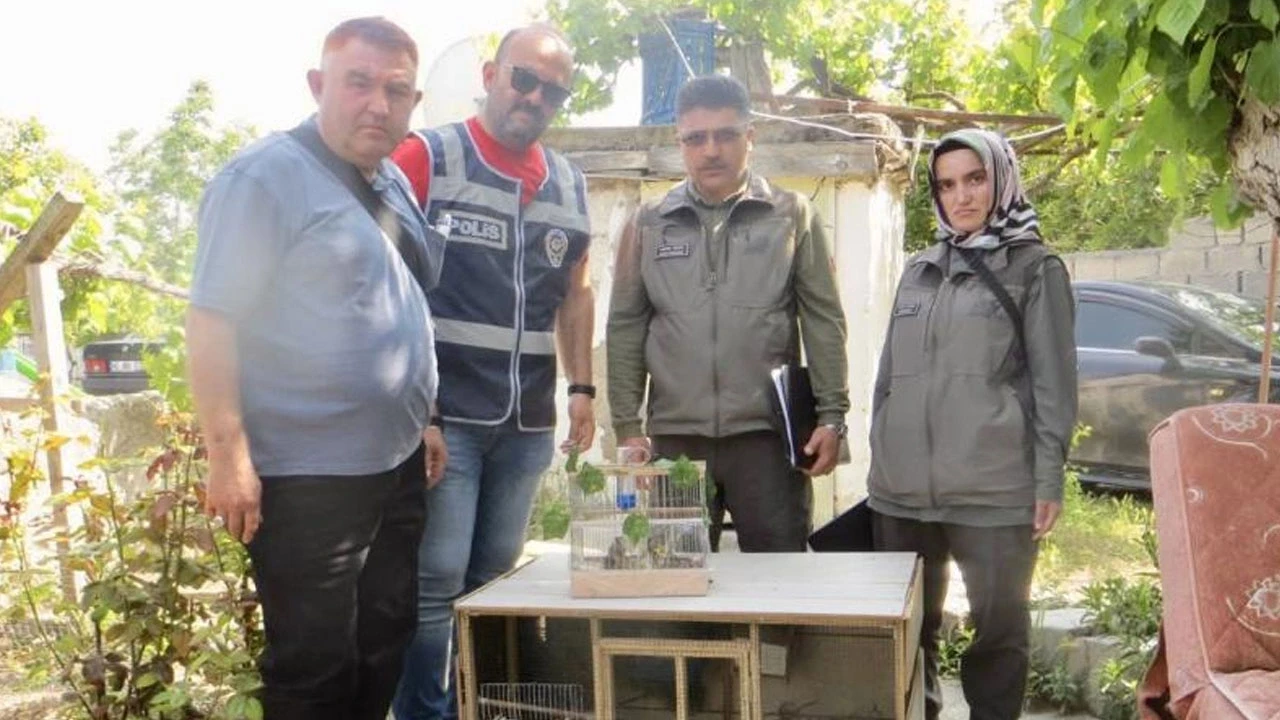 Saka Kuşu Ticareti Yapan Yakayı Ele Verdi: 77 Bin Lira Ceza!
