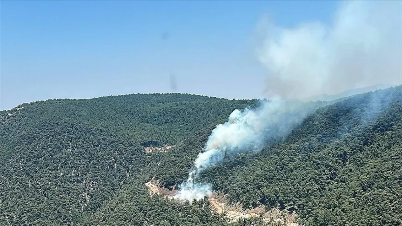 Gökçeler’de Korkutan Yangın: Ekipler Alevleri Kontrol Altına Almaya Çalışıyor
