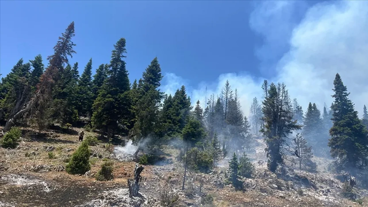 Alevler Elbeyli’yi Sardı: Yangına Müdahale Havadan Destekle Sürüyor