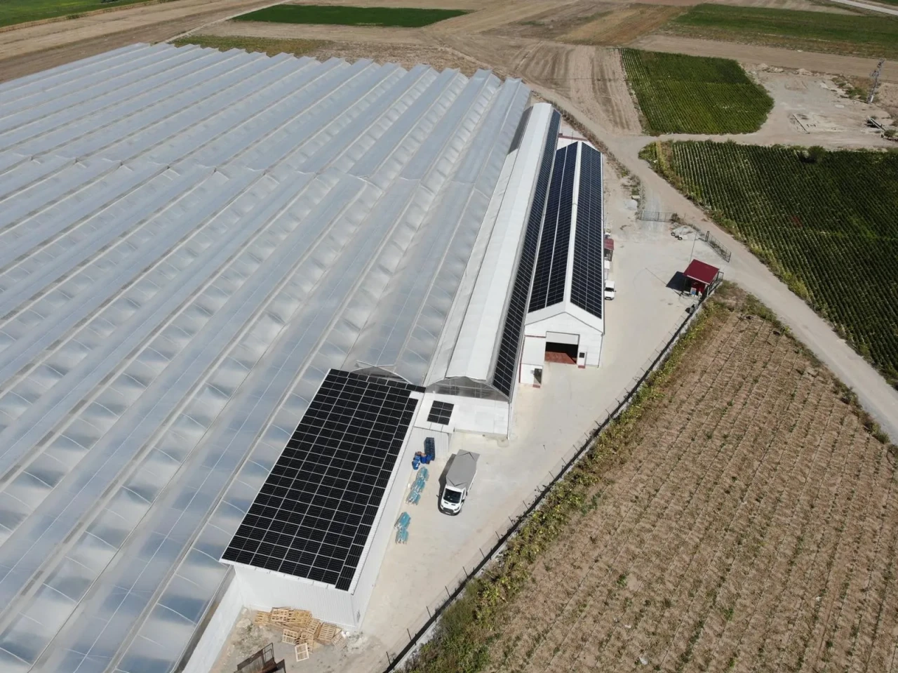 Altun Gıda'dan Jeotermal Tarım Hamlesi! Türk Tarımında Yeni Dönem Başlıyor