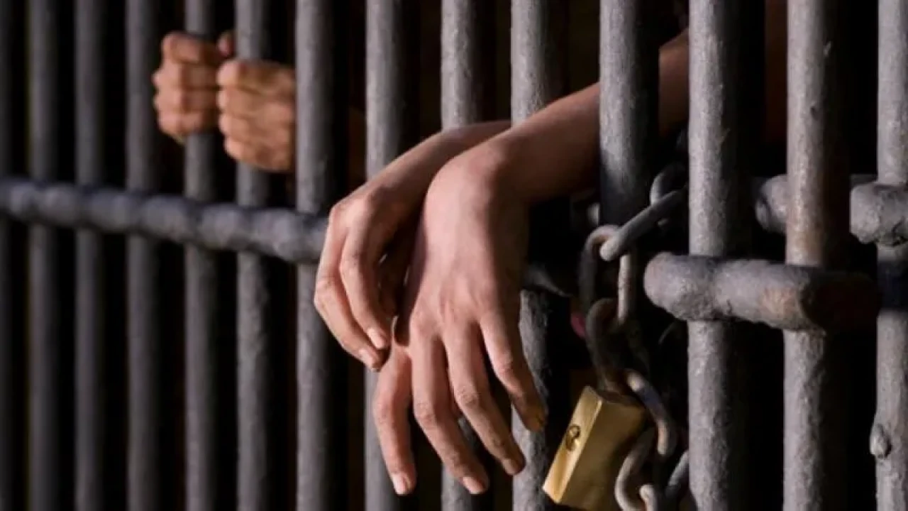 Türkiye genelinde organize suç örgütlerine yönelik operasyon!