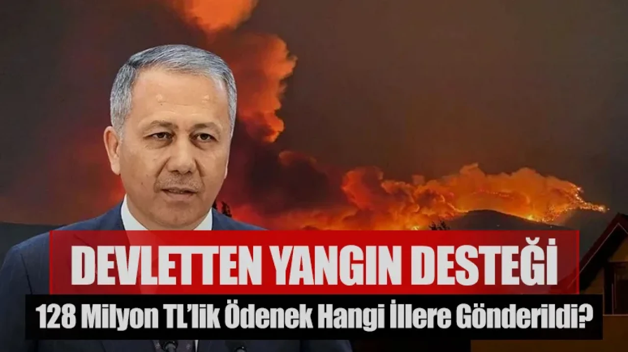 Yangınlarla mücadelede devlet desteği! 128 milyon TL’lik ödenek hangi illere gönderildi?