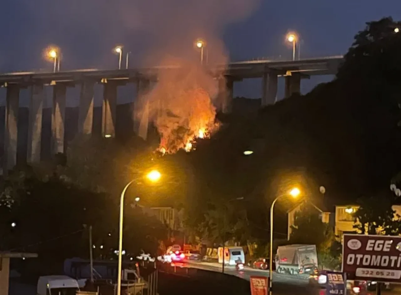 Beykoz’da yangın nerede ve neden çıktı?