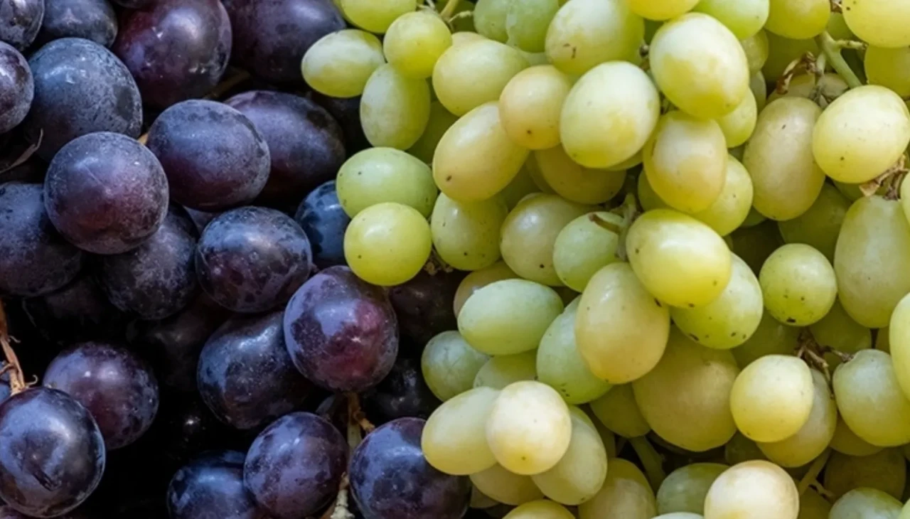 Üzüm sadece meyve değil, doğal bir sağlık kaynağı
