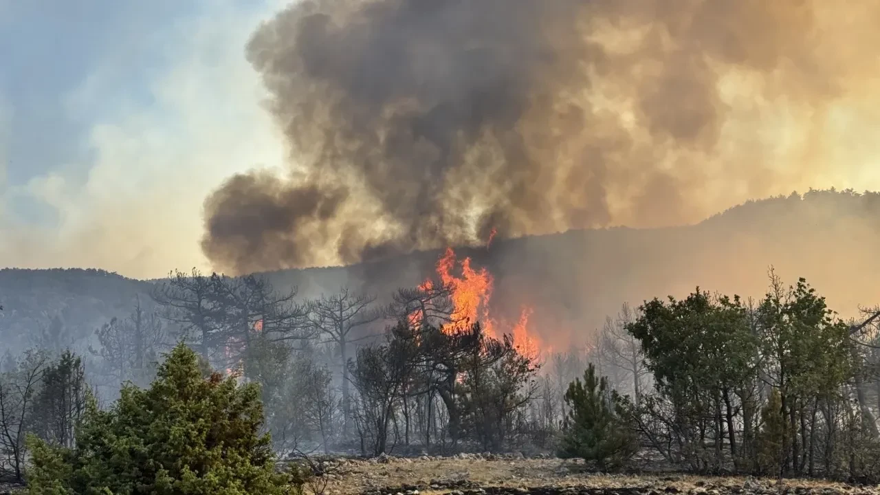 Osmaniye’de alarm: Alıç Yaylası’nda orman yangını!