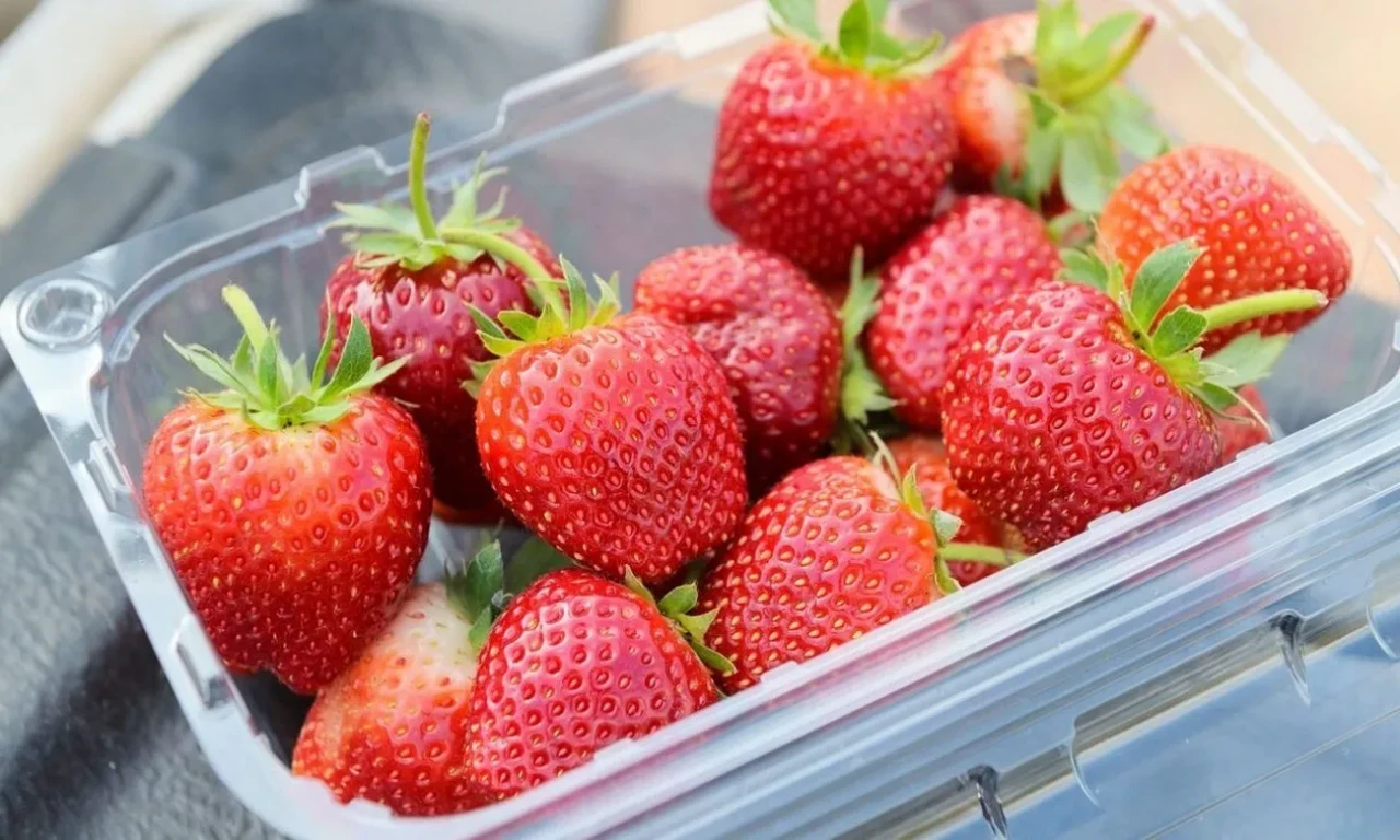 Her gün çilek yemek için 3 sebebiniz var! Yazın en lezzetli meyvesinin faydaları