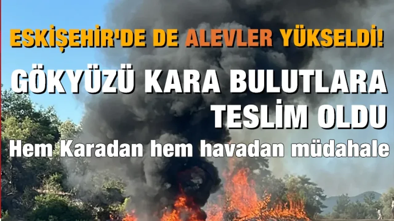 Eskişehir'de de alevler yükseldi! Gökyüzü kara bulutlara teslim oldu