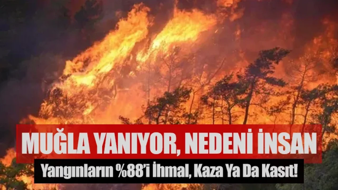 Muğla yanıyor, nedeni insan:Yangınların %88’i ihmal, kaza ya da kasıt!