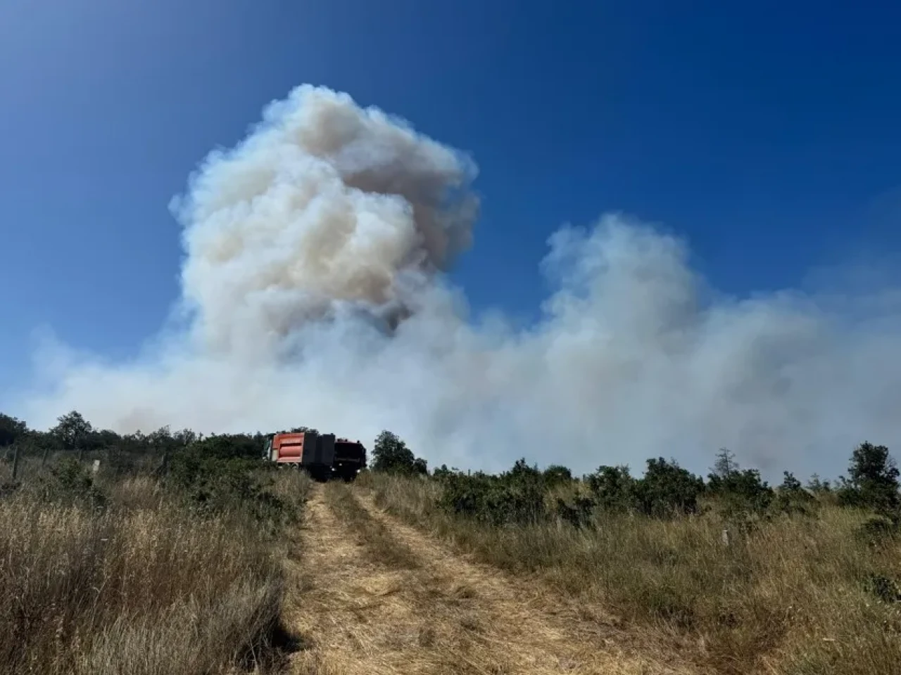 Rüzgarla büyüyen yangın silivri'yi tedirgin etti: Havadan müdahale başladı