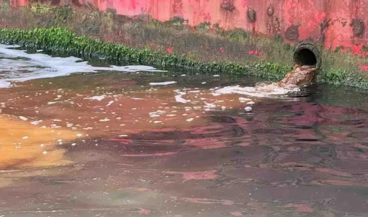 Valilik Harekete Geçti: Yalova’da Deniz Kirliliği İçin Numuneler TÜBİTAK’a Gönderildi