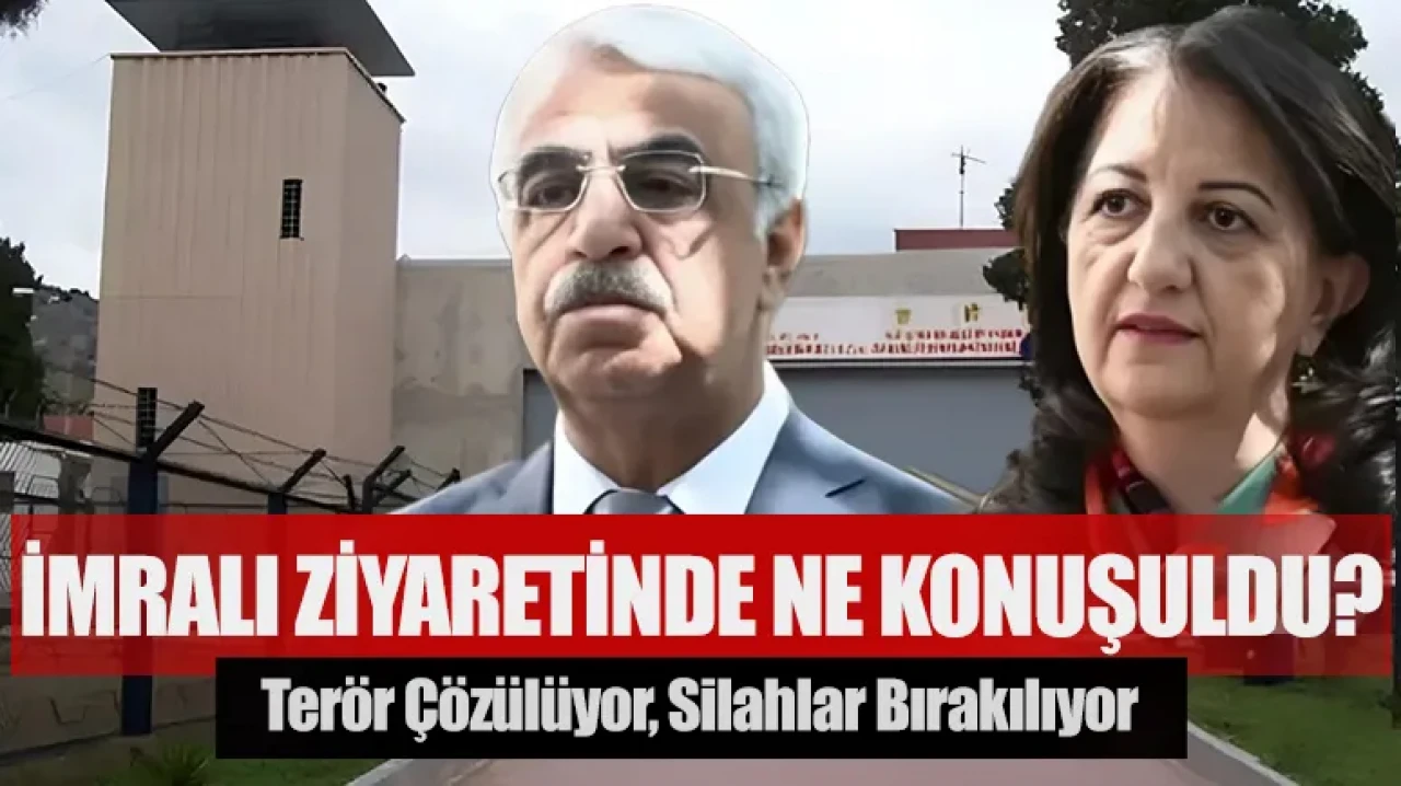 Terör çözülüyor, silahlar bırakılıyor: İmralı ziyaretinde ne konuşuldu?