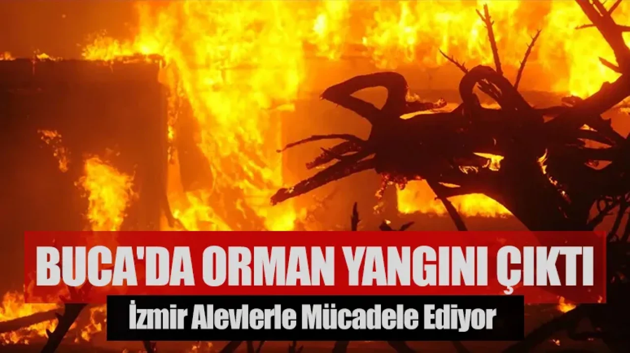 İzmir alevlerle mücadele ediyor: Buca'da orman yangını çıktı