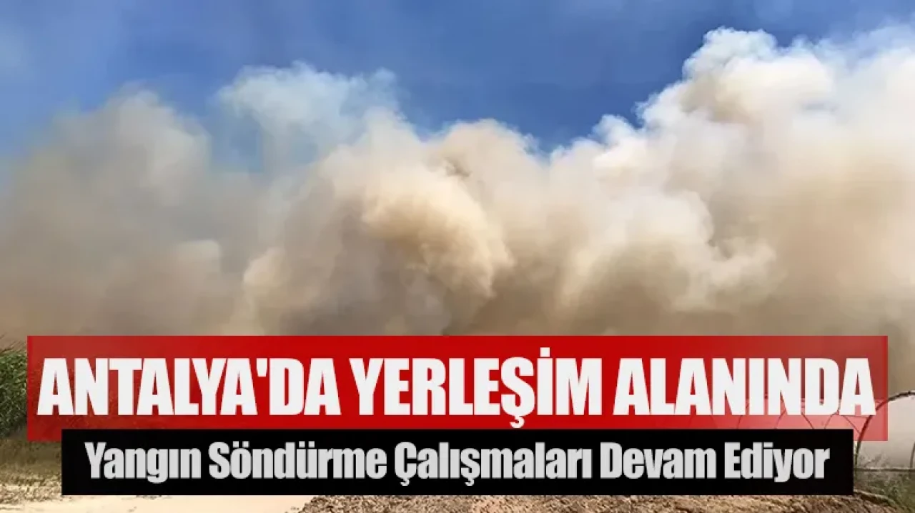 Antalya'da yerleşim alanında yangın!