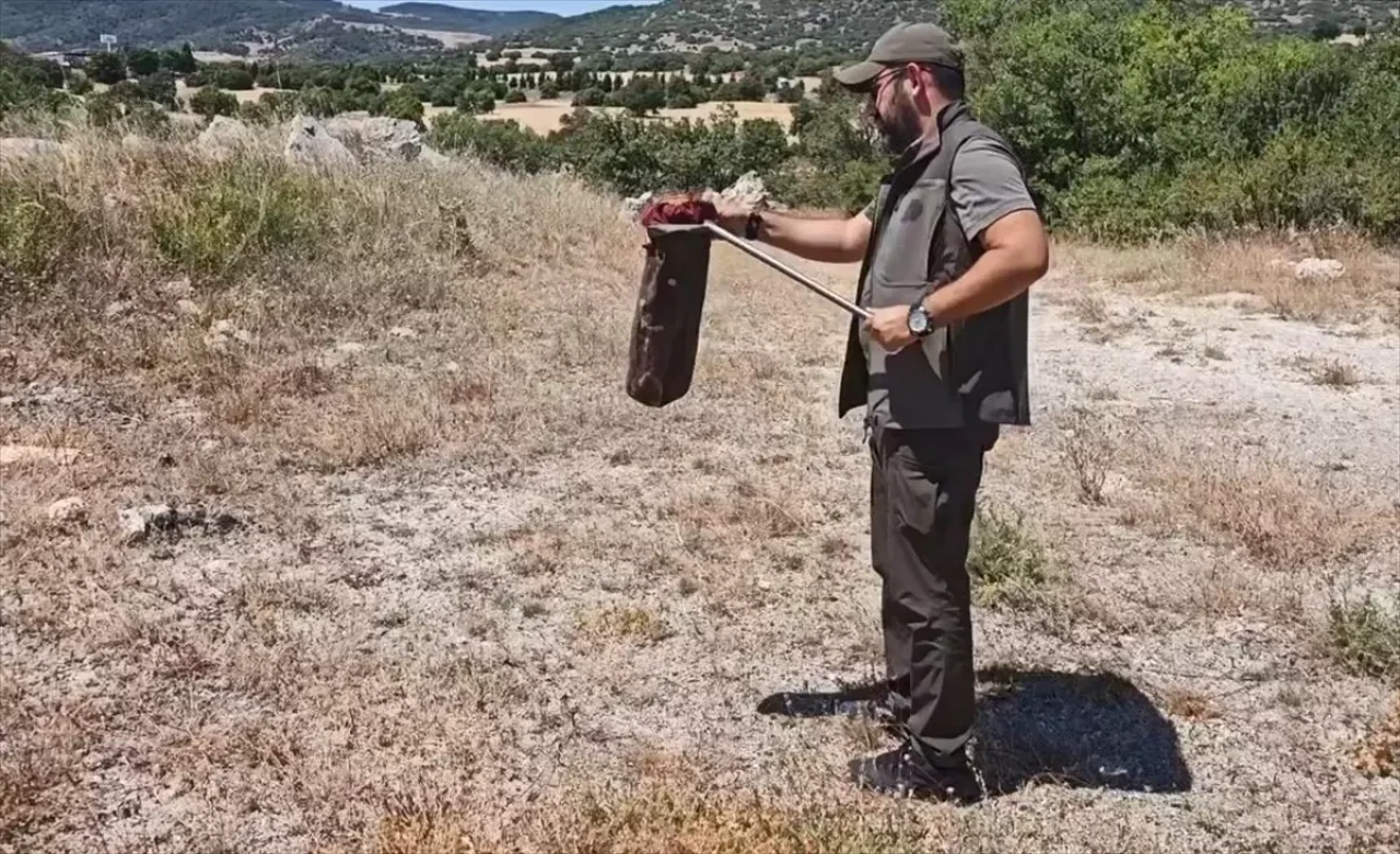 Tuvalette Yılanla Burun Buruna! Kütahya’da Nefes Kesen Anlar