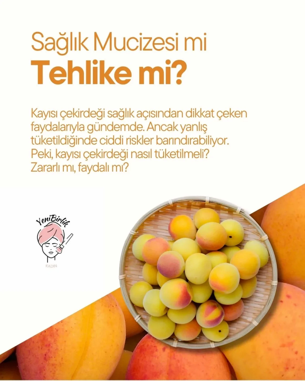 Sağlık mucizesi mi, tehlike mi? Kayısı çekirdeği hakkında bilmeniz gereken her şey!