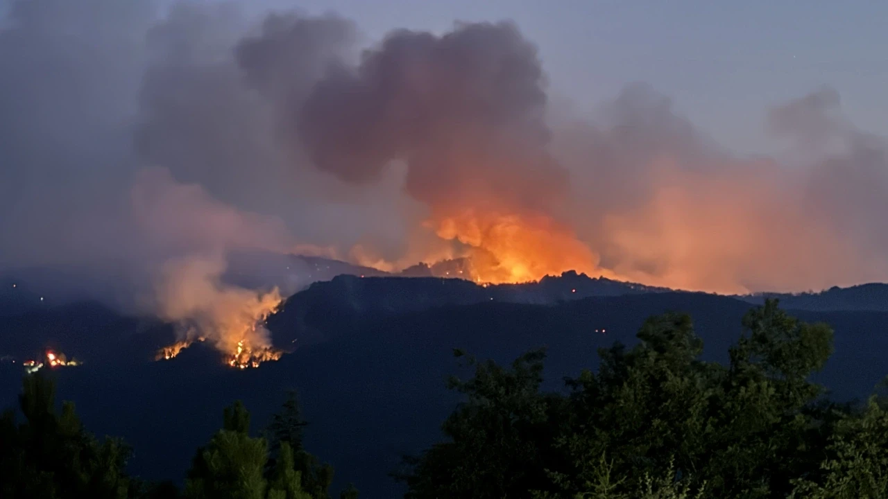 Orman şehitlerimiz için siyasilerden peş peşe taziye mesajları