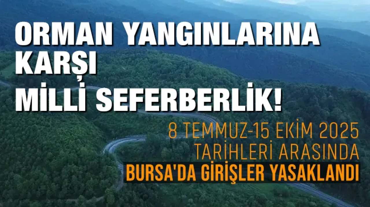 Orman Yangınlarına Karşı Milli Seferberlik! Bursa'da Girişler Yasaklandı