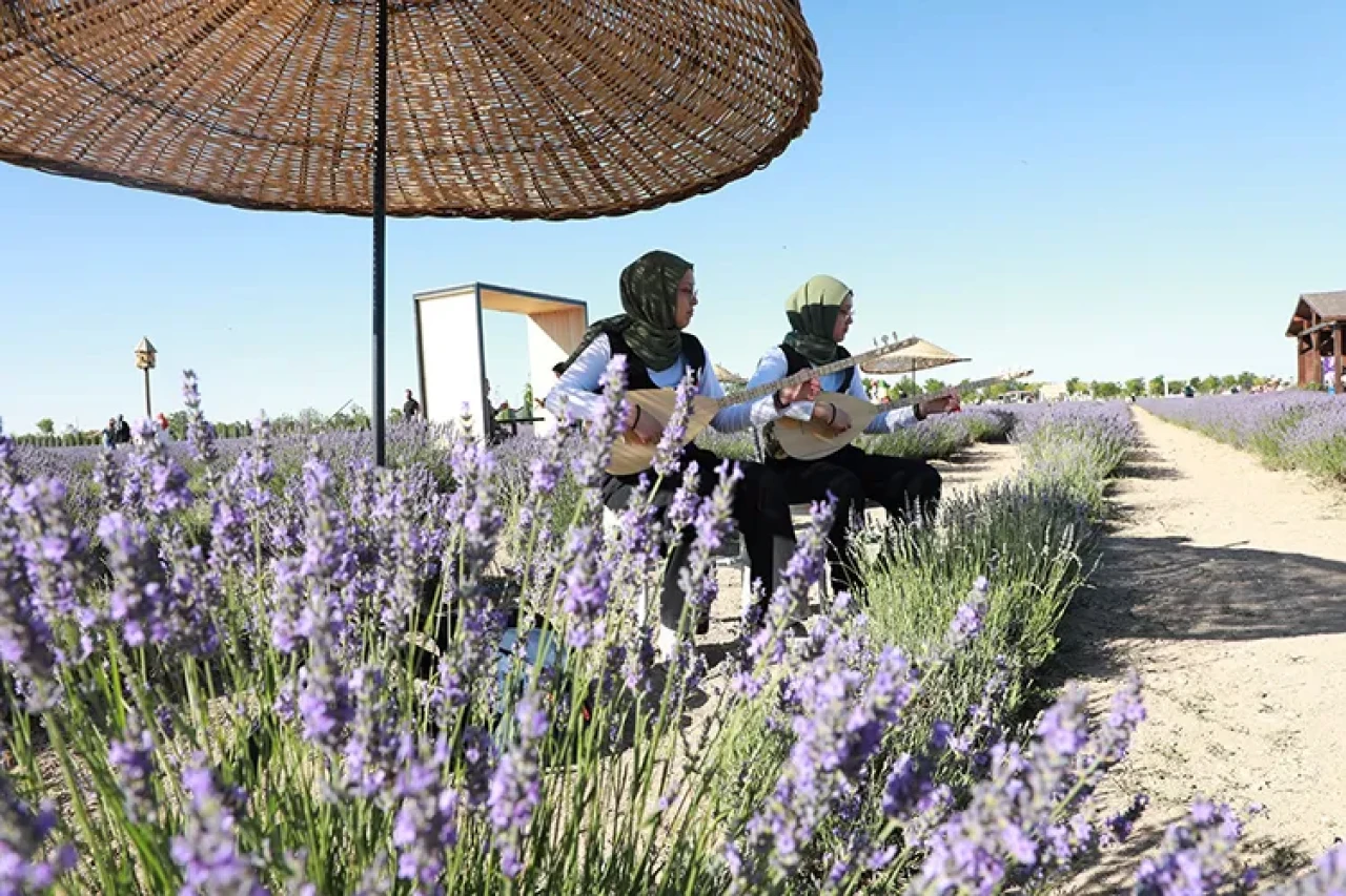 Konya’da Lavanta Coşkusu: Karatay Renk ve Kokuya Büründü