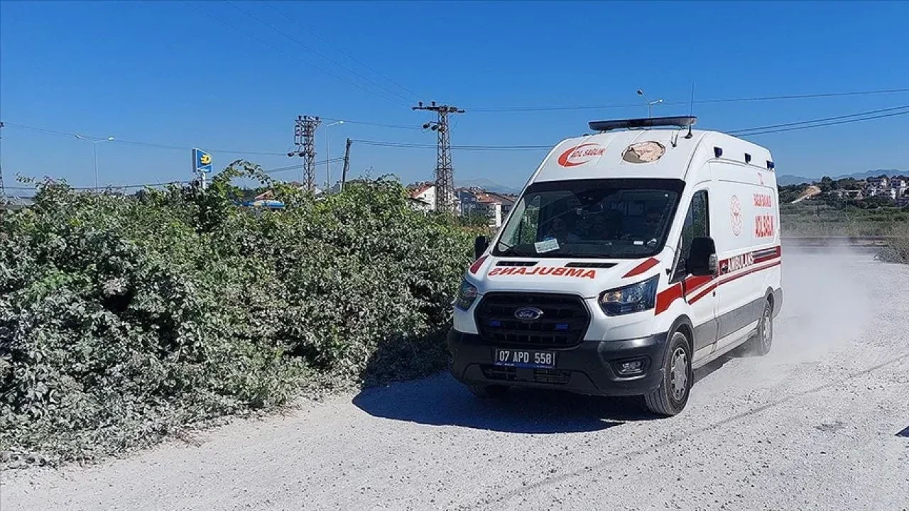 Valilikten Hızlı Müdahale: Manavgat’taki Aslan Vakası İçin Adli Soruşturma Başlatıldı