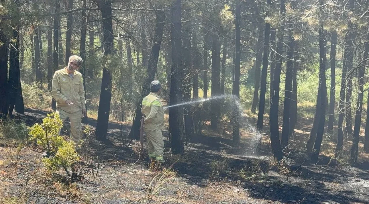 İstanbul’da orman alarmı: Aydos’taki yangın hızla kontrol altına alındı