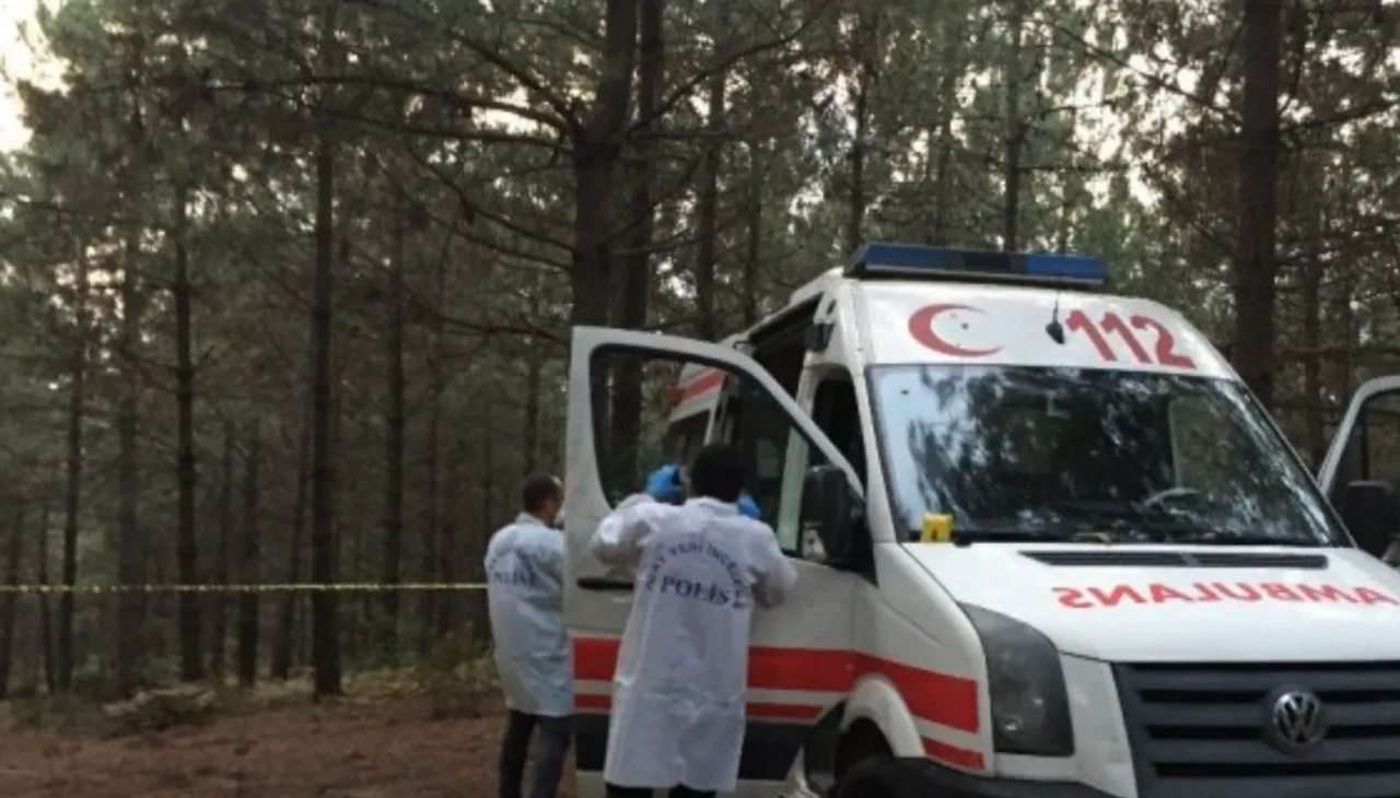 Bir ağaç devrildi, bir hayat söndü: Deneyimli orman işçisi can verdi