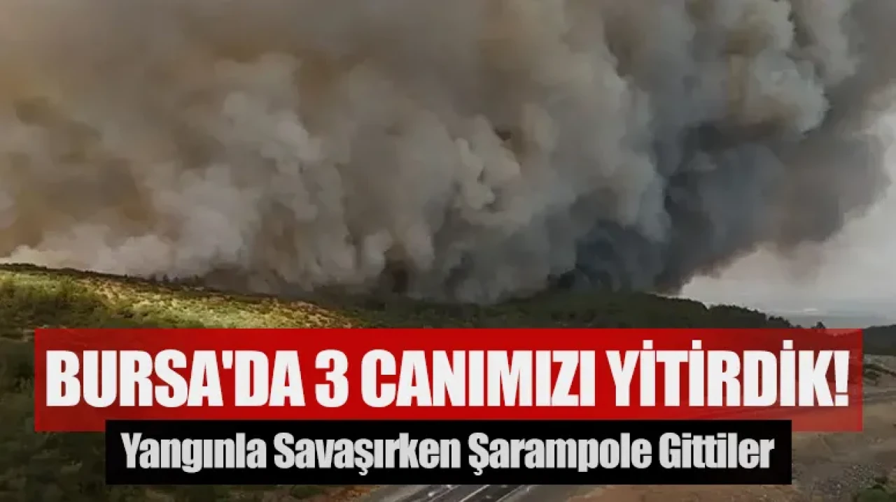 Yangınla Savaşırken Şarampole Gittiler: Bursa'da 3 Canımızı Yitirdik!