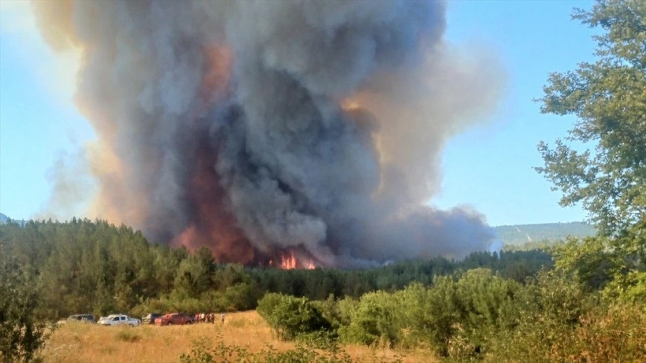 AK Partili Hatipoğlu duyurdu: 10 orman emekçisi şehit oldu