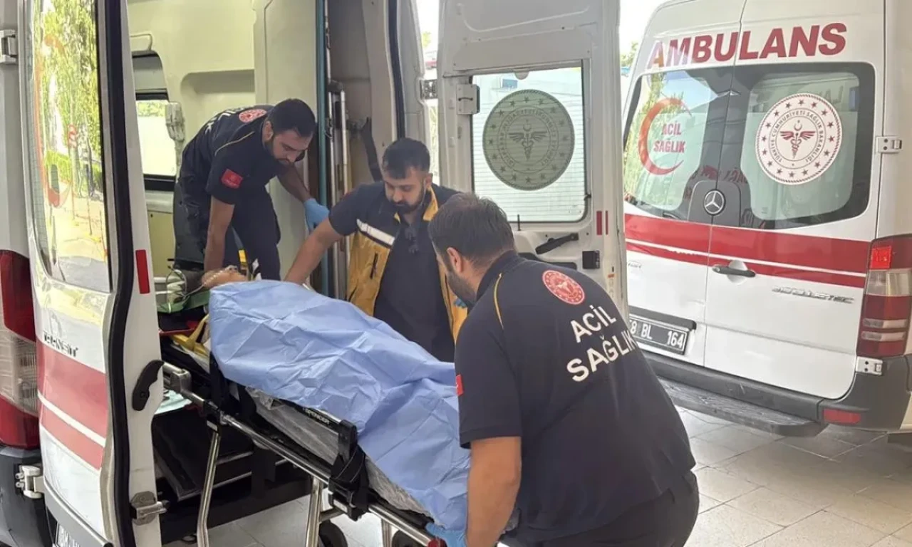 Tarım işçilerini taşıyan minibüs Sivas’ta uçuruma yuvarlandı:Yaralılar var