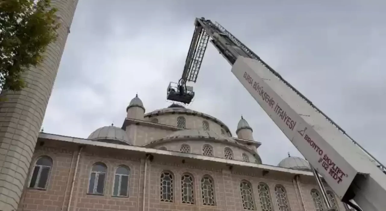 İznik’te Cami Kubbesinde Mahsur Kalan Leylek Üçüncü Denemede Kurtarıldı