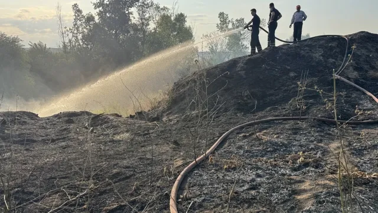 Edirne’de Tunca Nehri Kenarında Yangın: Ağaçlar Zarar Gördü