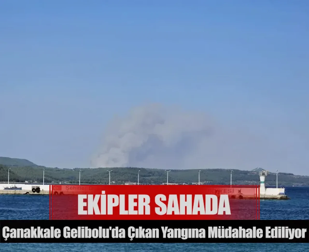 Ekipler sahada: Çanakkale Gelibolu'da çıkan yangına müdahale ediliyor