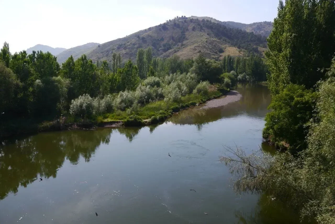 Nehirde acı son: Sakarya'nın suları Görkem'i geri vermedi