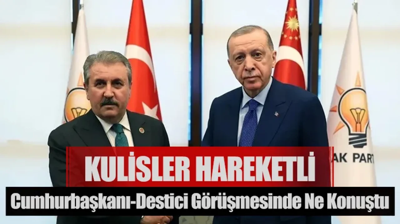 Cumhurbaşkanı Erdoğan-Destici görüşmesinde neler konuşuldu: Kulisler hareketli