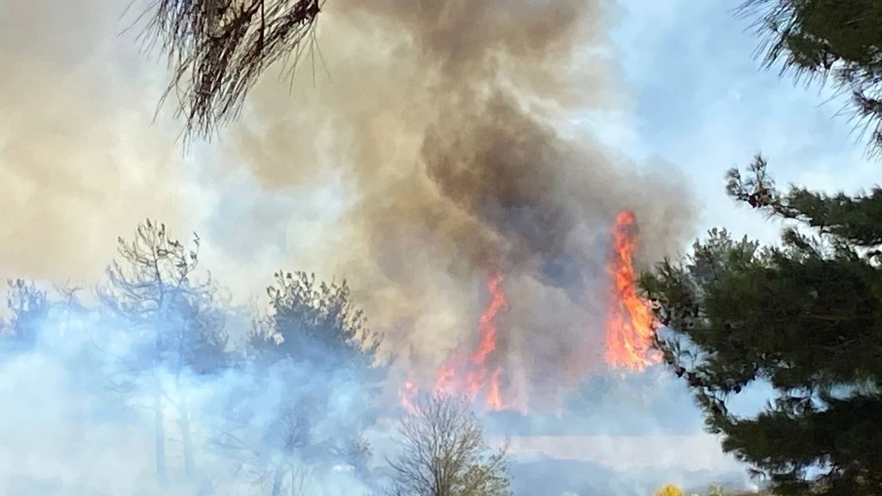 5 ilde orman yangını! Rüzgarın etkisiyle alevler büyüyor