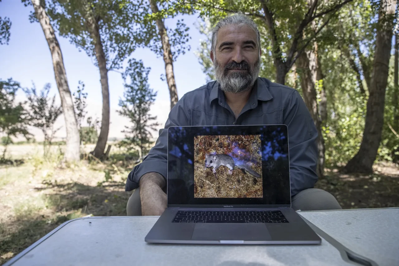 Munzur Dağları’nda yeni bir 'Yediuyur Türü' keşfedildi