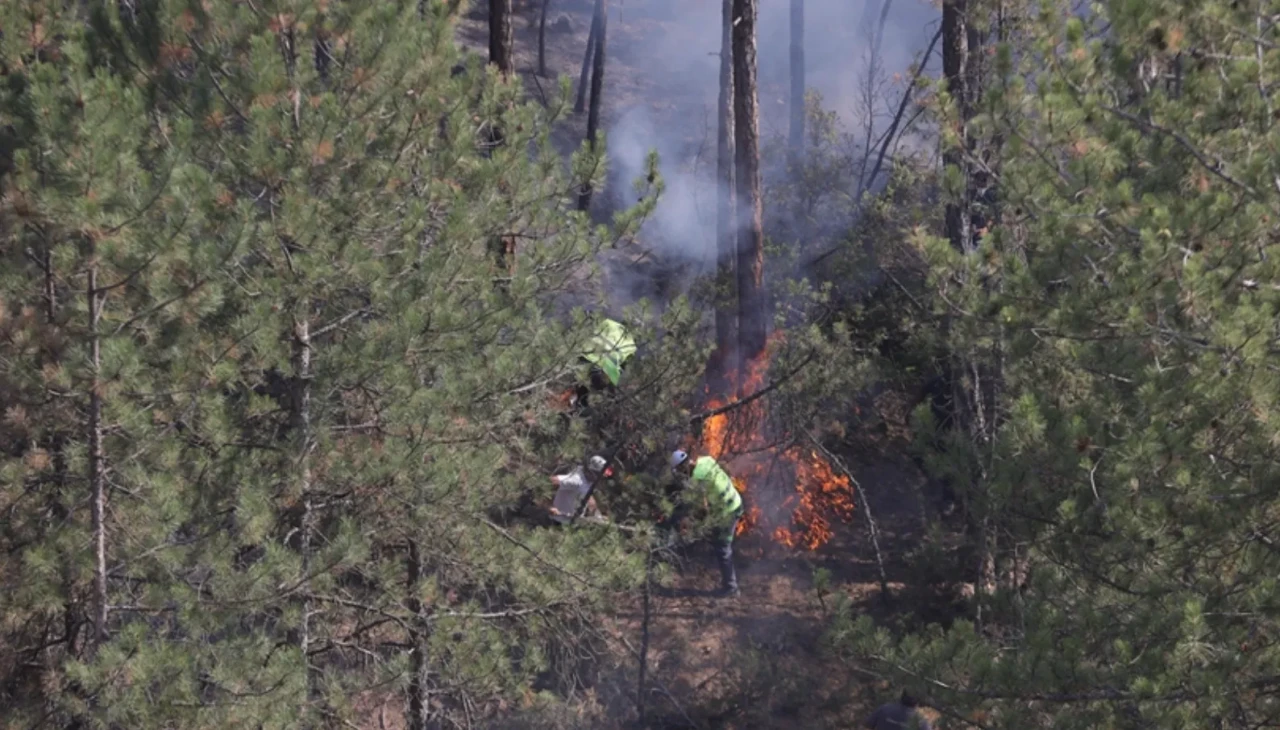 Duman sessizce yayıyor: Yangınlar sonrası sağlık alarmı