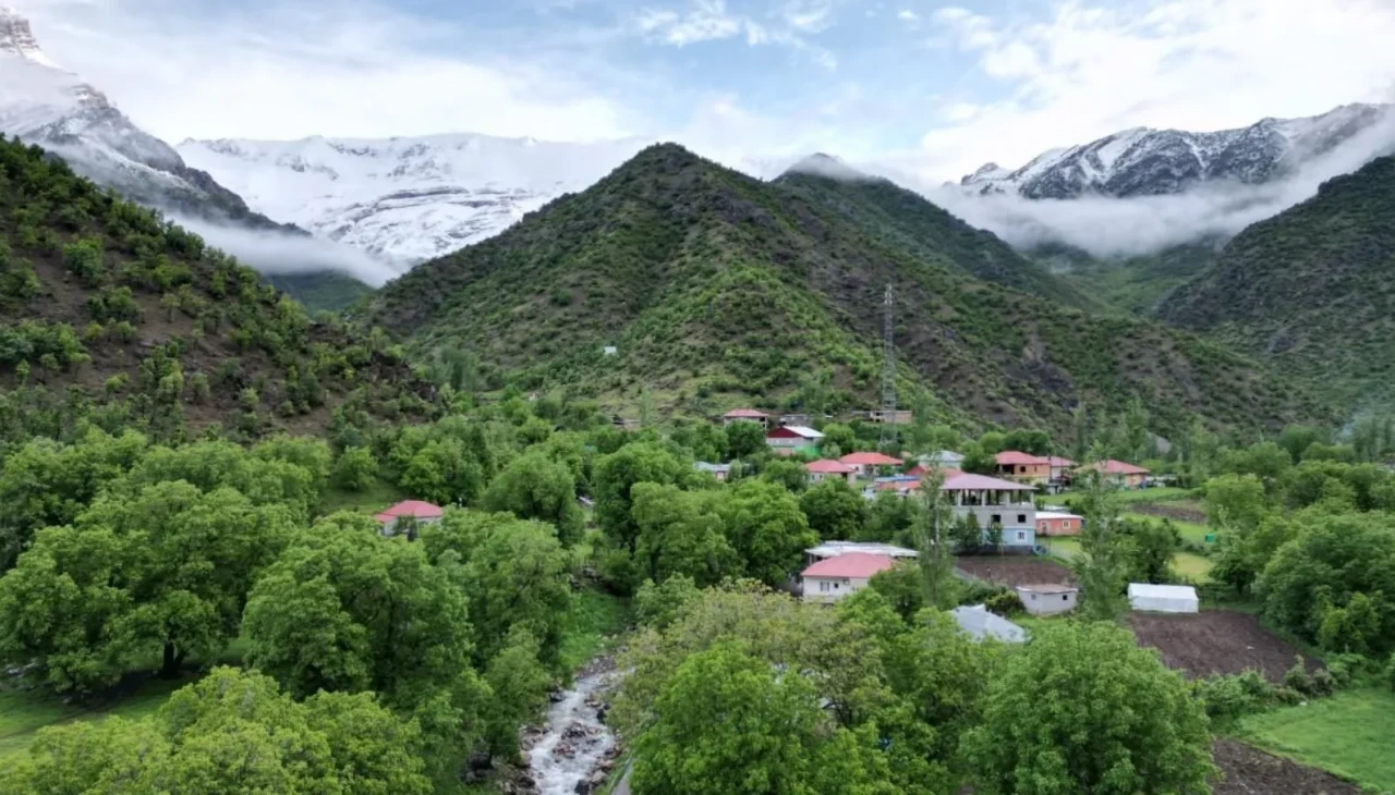 Şırnak’ta iki yerel bitki üç kronik hastalık için umut oldu
