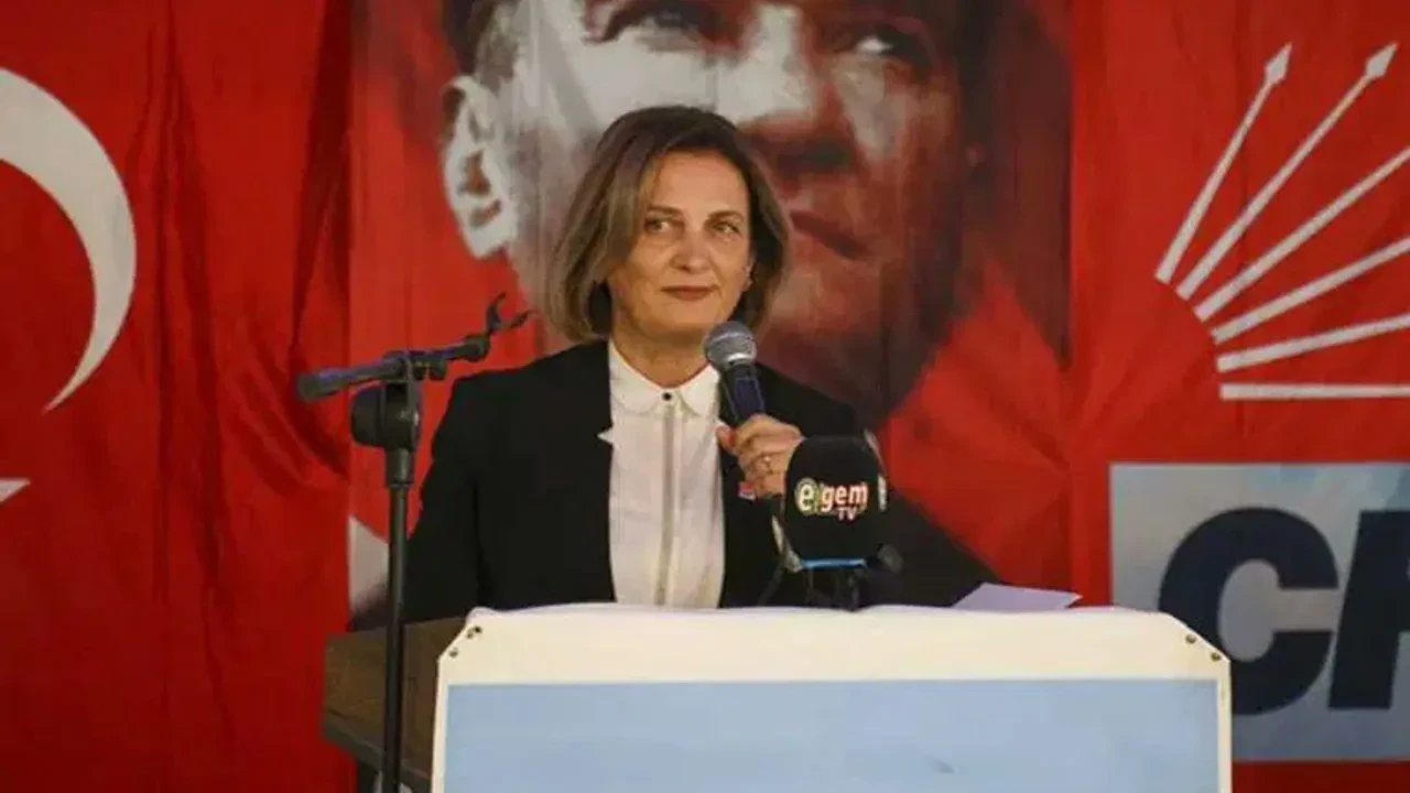 Sevinç Soyer Yazgan kimdir, aslen nereli, kaç yaşında, neden istifa etti? Siyasi yolculuğu ve hayatı