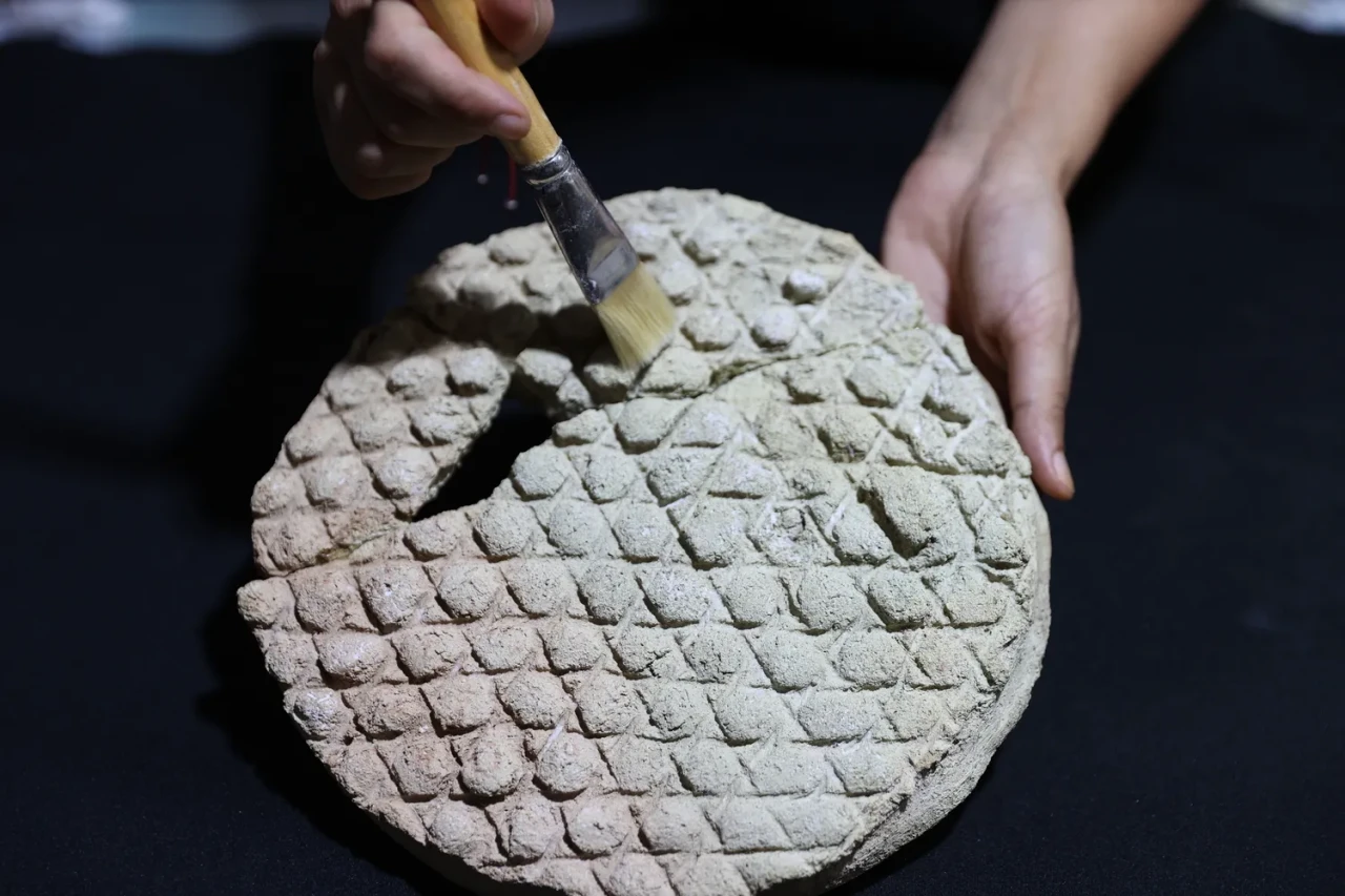 Harran’da 800 yıllık baklava desenli ekmek kalıbı bulundu