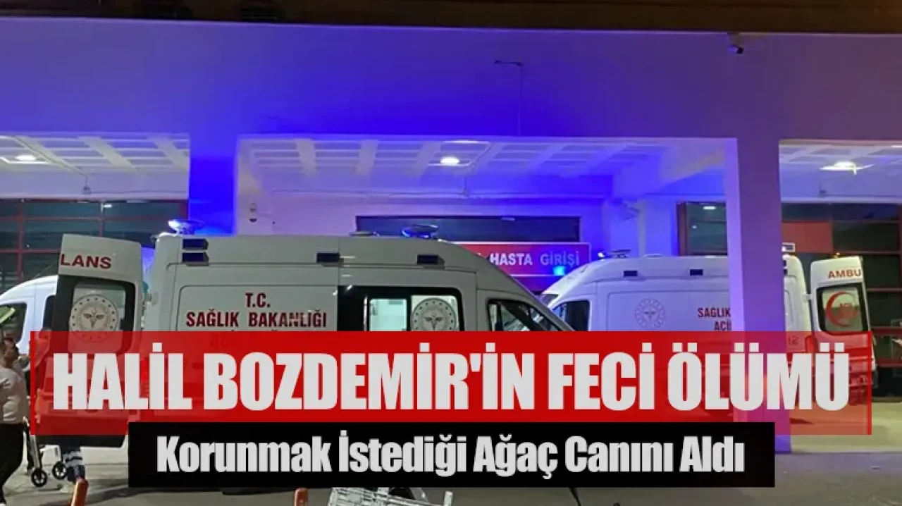 Korunmak istediği ağaç canını aldı: Halil Bozdemir'in feci ölümü