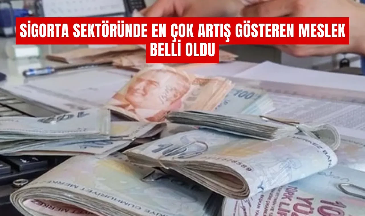 Sigorta Sektöründe En Çok Artış Gösteren Meslek Belli Oldu