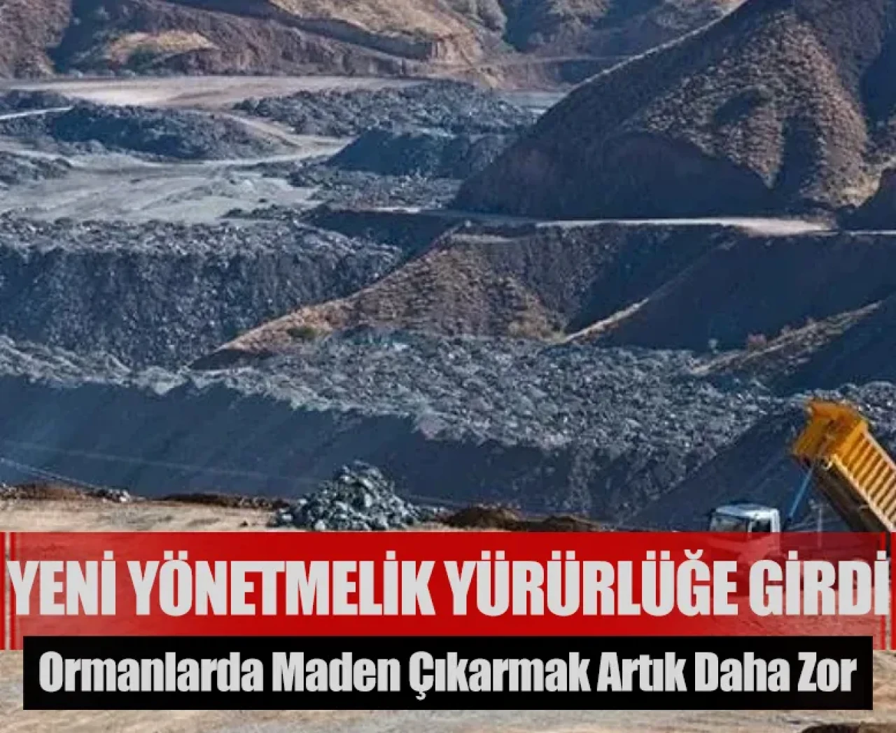 Ormanlarda maden çıkarmak artık daha zor: Yeni yönetmelik yürürlüğe girdi