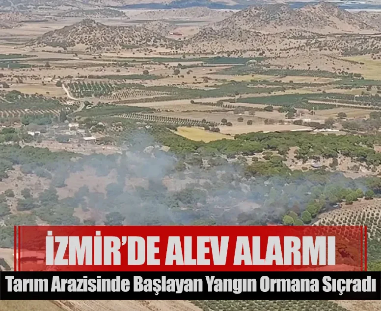 İzmir’de alev alarmı: Tarım arazisinde başlayan yangın ormana sıçradı