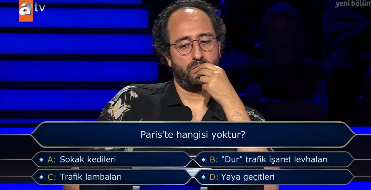 Pariste hangisi yoktur? Paris'de kedi, dur levhası, trafik lambaları, yaya geçitleri var mı?