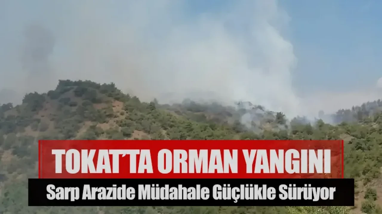 Tokat’ta orman yangını: Sarp arazide müdahale güçlükle sürüyor