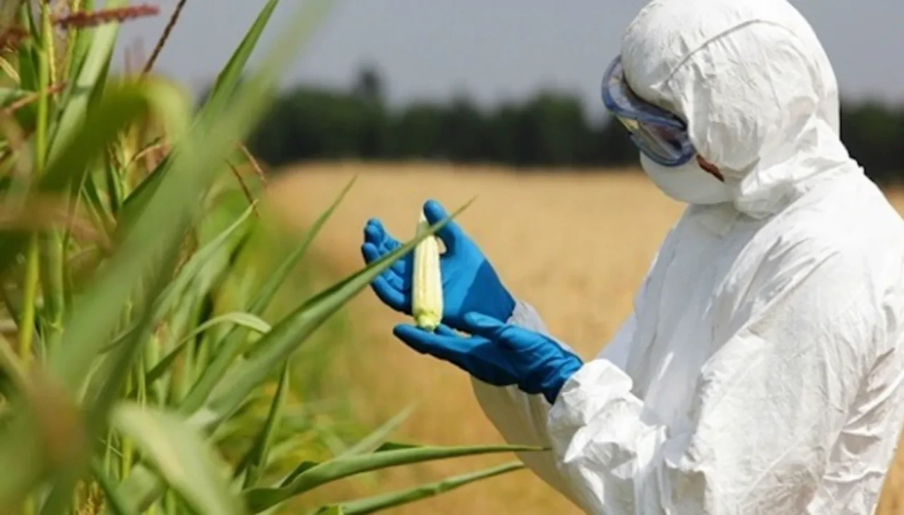 Ziraat Mühendisliği Maaşları 2025: Ne Kadar Kazanıyorlar?