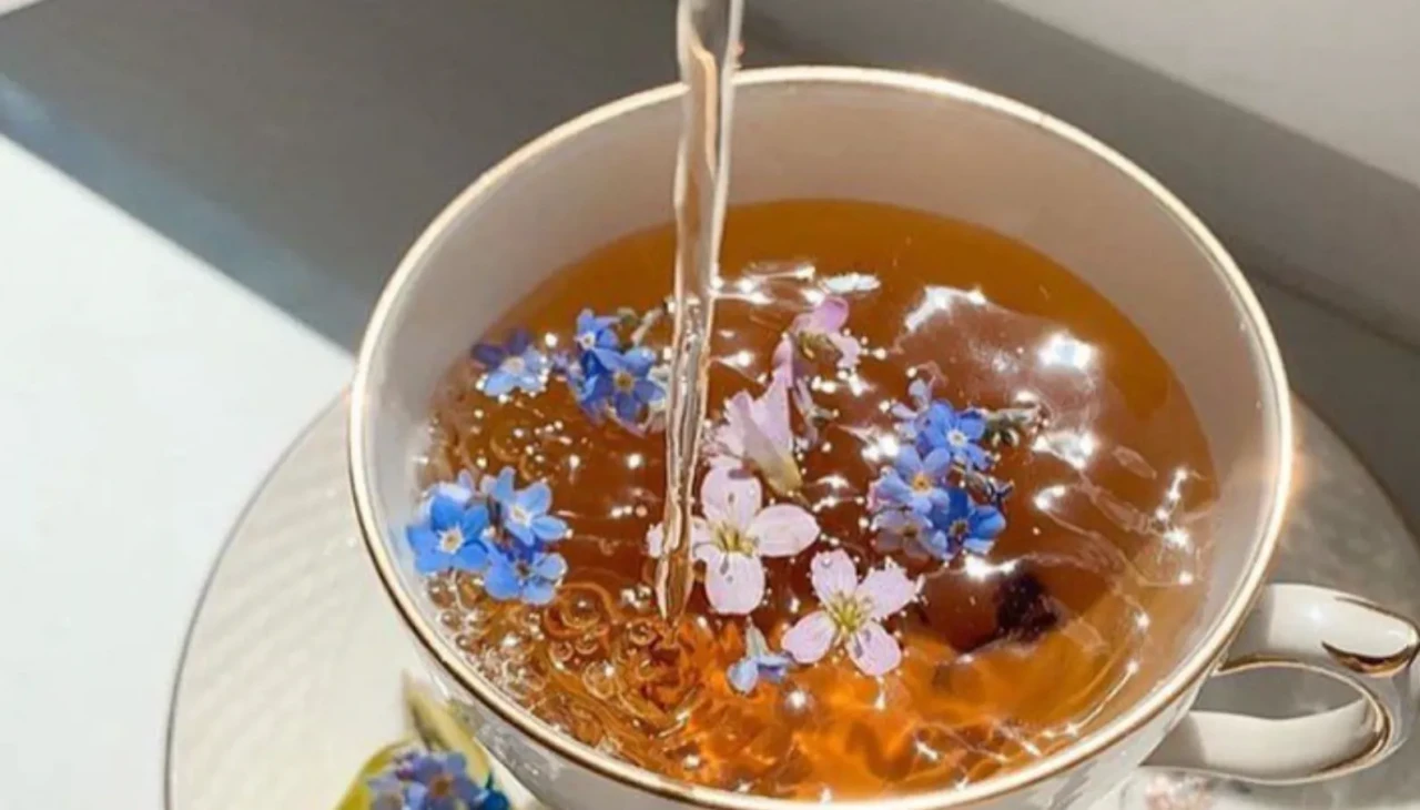 Kahvesiz yapamayanlara özel! Uykunuzu bozmayan 7 içecek