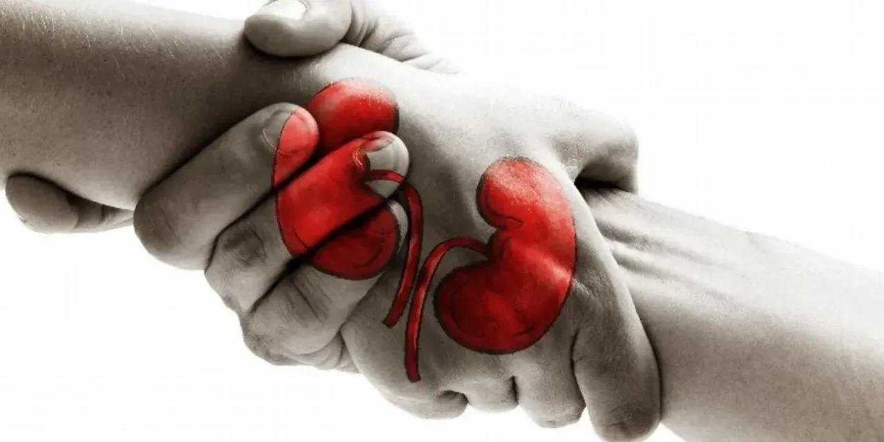 Samsun’da organ bağışı 3 hastaya umut oldu