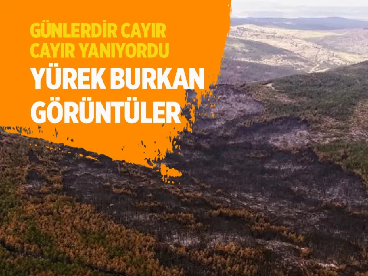 Karabük’te orman yangını sonrası tahribatın boyutu dronla görüntülendi