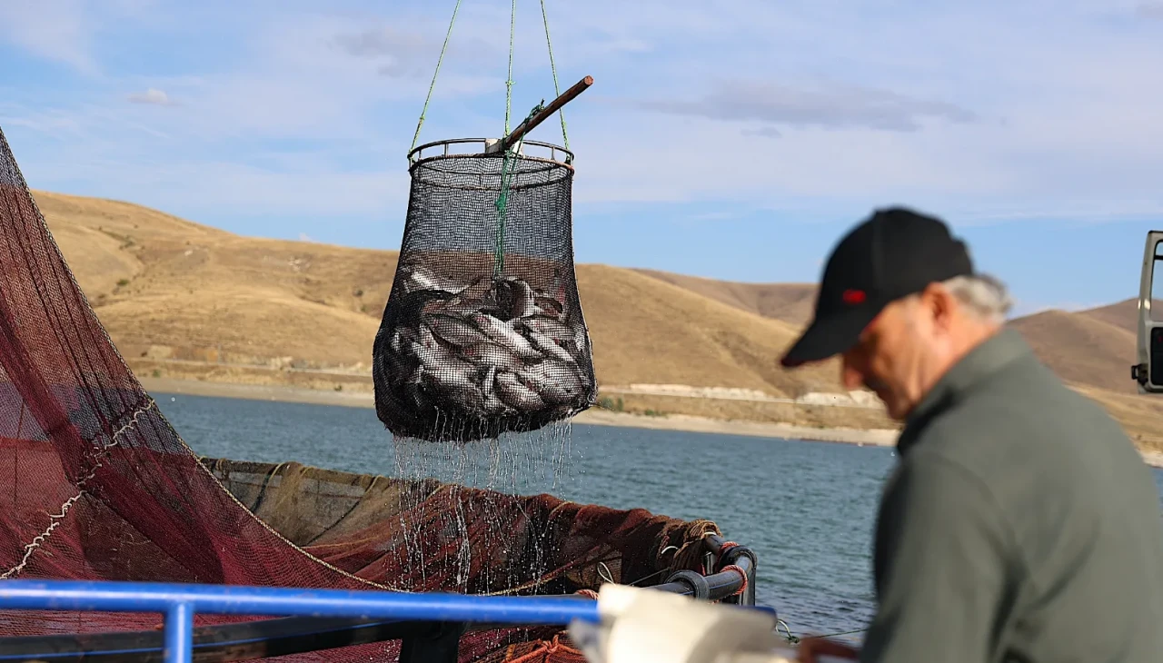 Bu sessiz şehirden Rusya’ya tonlarca somon gidiyor!